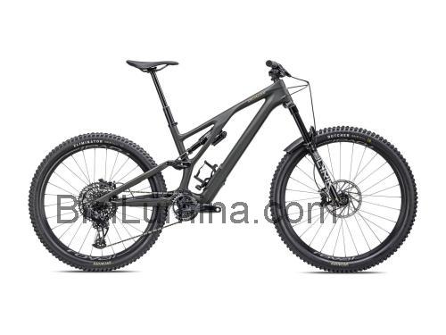 Specialized Stumpjumper EVO opinión y ficha técnica